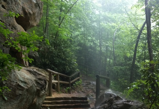 Red River Gorge Thunderstorm - 5